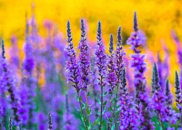 好评游戏低至2折 蒸汽平台秋季特卖进行时