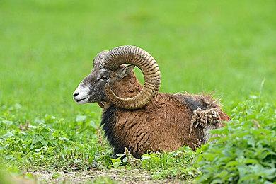 《止痛药》发布新视频 展示多人合作模式游戏方式