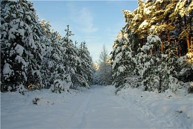 小岛秀夫亲自带货 《死亡搁浅》“隐生虫”毛绒玩偶